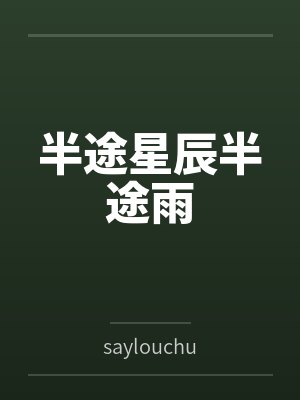 半途星辰半途雨