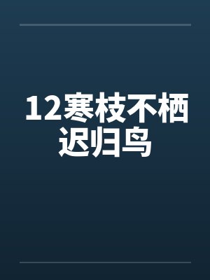 12寒枝不栖迟归鸟