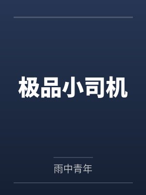 极品小司机